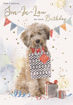 Picture of FOR A SPECIAL SON IN LAW BIRTHDAY CARD
